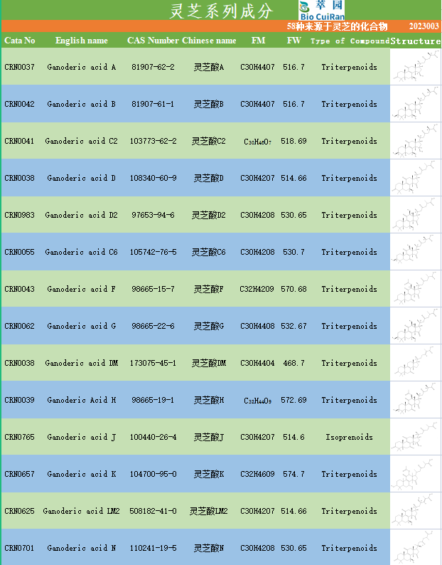 2026072906-2.png